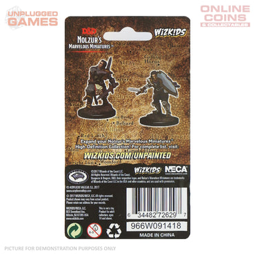 Dungeons & Dragons Nolzurs Marvelous Unpainted Miniatures - Human Paladin