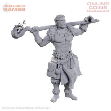 Dungeons and Dragons: Nolzur's Marvelous Miniatures - Archdruid & Martial Arts Adept