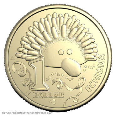 2025 Women's Weekly Birthday Cake - $1 Uncirculated Carded Coin - Echidna