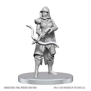 D&D Nolzur's Marvelous Miniatures - Assassin & Berserker