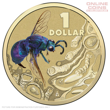2014 Royal Australian Mint - Bright Bugs - Cuckoo Wasp - Uncirculated $1 Carded Coin