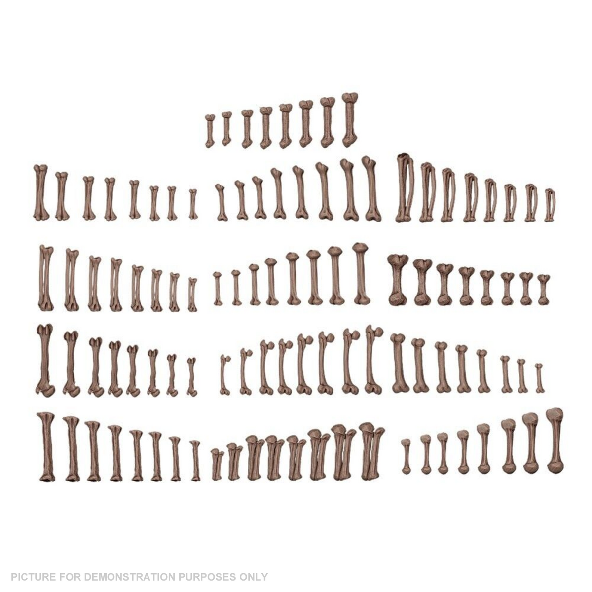 AK Interactive - Basing Bits - Human Bones - 120 Pieces