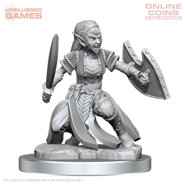 D&D Nolzurs Marvelous Miniatures Shifter Fighter