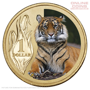 2012 $1 AlBr Uncirculated Carded Coin - Animals of the Zoo series- Sumatran Tiger