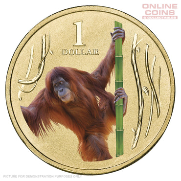 2012 $1 AlBr Uncirculated Carded Coin - Animals of the Zoo series- Orangutan