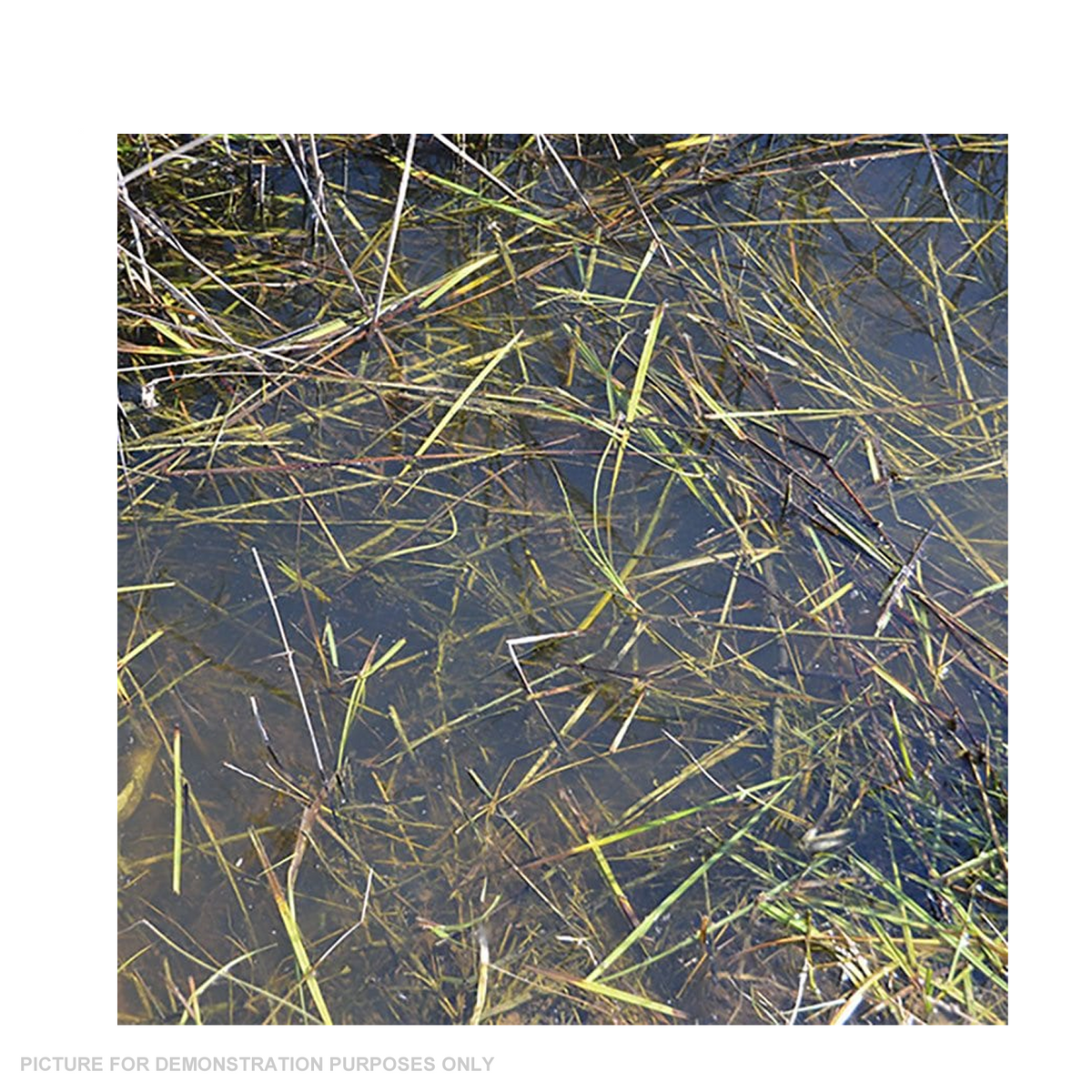 AK Interactive - Dioramas - Still Water 250ml