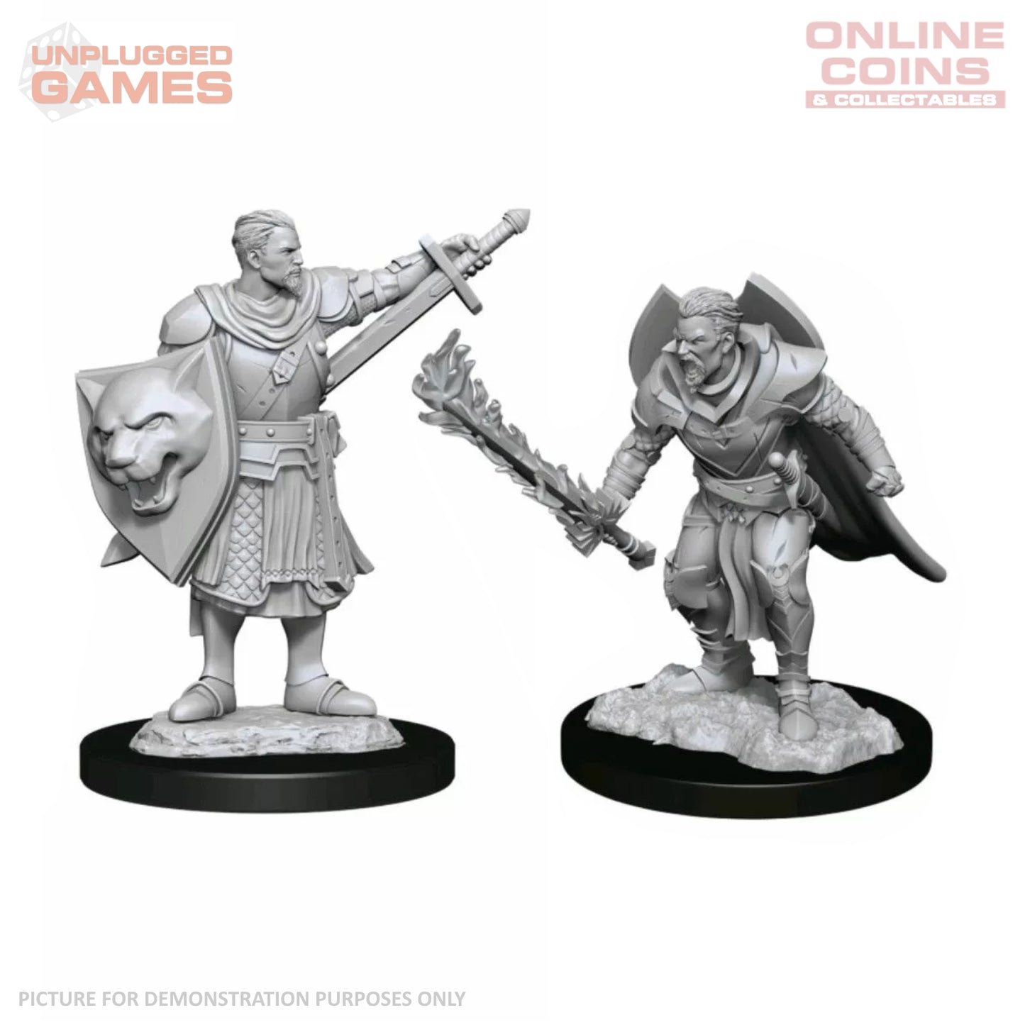 Pathfinder Deep Cuts Unpainted Miniatures - Male Human Champion