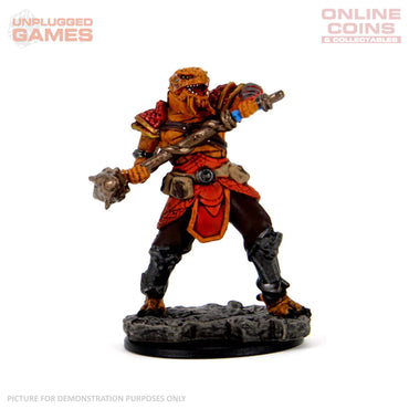 Dungeons & Dragons Premium Painted Figures - Dragonborn Fighter