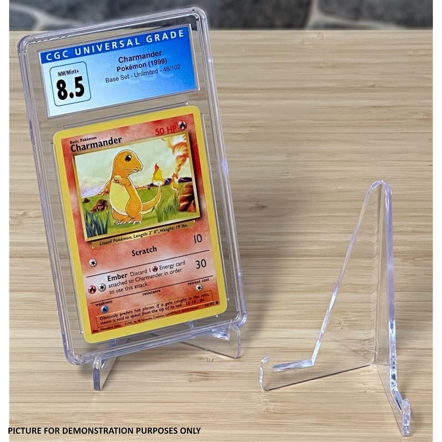 BCW Small Display Stand