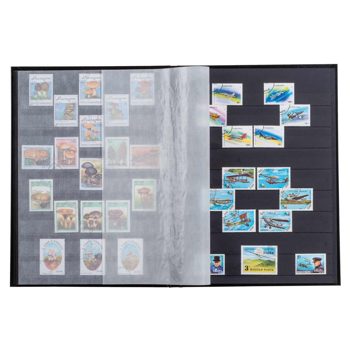 Lighthouse A4 Stockbook with 32 Black Pages and 9 Pockets Per Page - Green