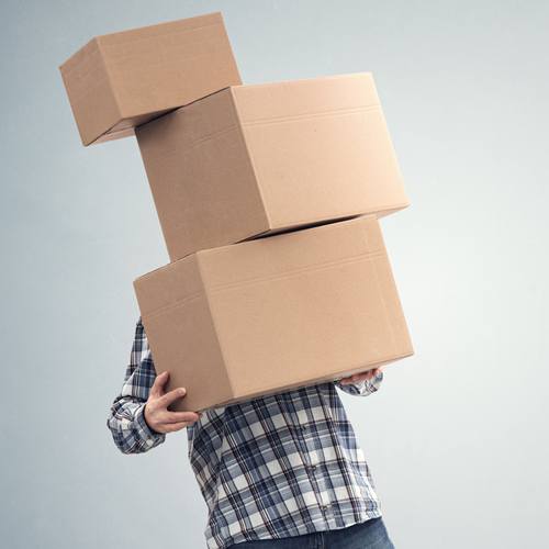 FREE DOMESTIC SHIPPING ITEMS!