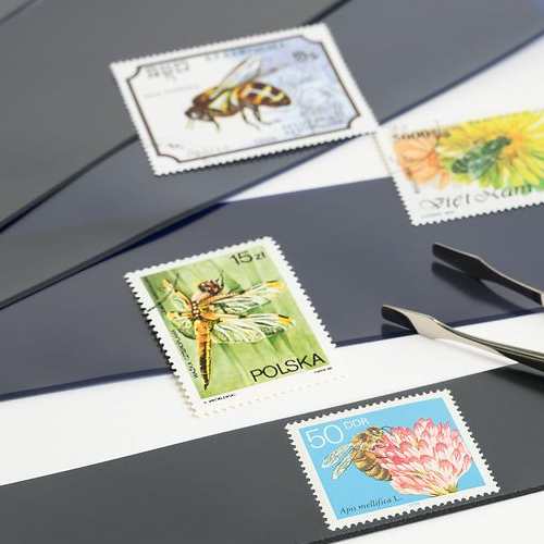 Stamp Mounts