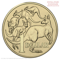 2019 $1.00 Uncirculated Coin - IRB Effigy - Removed From Mint Bag