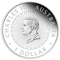 Perth Mint 2026 1oz Silver Proof Matrix Opal Coin - GREAT SOUTHERN LAND - NOCTURNAL