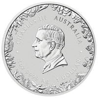 Perth Mint 2026 1oz Silver Coloured Coin in Card WONDERS OF AUSTRALIA – THE OUTBACK