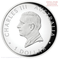 2026 Perth Mint 1oz Silver Proof High Relief Coloured Coin - Australian Kangaroo