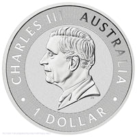 2026 Perth Mint 1oz Silver Coloured Coin in Card - Sundowner Red Kangaroo
