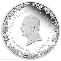 2026 Perth Mint 1oz Silver Proof Coin - Wonders of Australia - The Outback