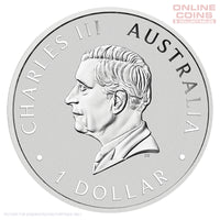 2026 Perth Mint WMF Australian Kookaburra 1oz Silver Coloured Coin with Double Ampelmann Privy