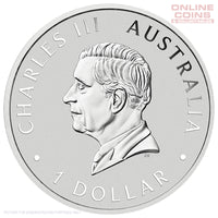 2026 Perth Mint 1oz Silver Coloured Coin in Card - Australian Wedge-Tailed Eagle
