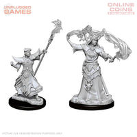 Pathfinder Deep Cuts Unpainted Miniatures - Male Human Sorcerer