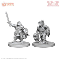 Dungeons & Dragons Nolzurs Marvelous Unpainted Miniatures - Dwarf Paladin