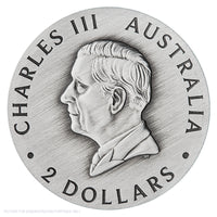 2026 Perth Mint 2oz Silver Antiqued Coloured Coin - Butterfly