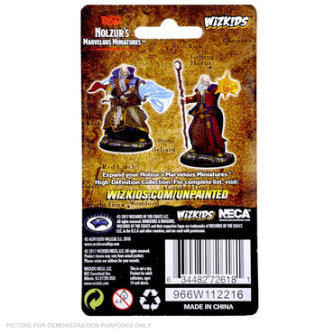 D&D Nolzurs Marvelous Unpainted Miniatures - Human Male Wizard