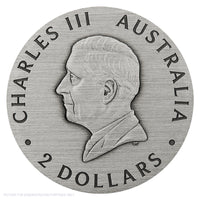 2025 Perth Mint Honey Bee 2oz Silver Antiqued Coloured Coin