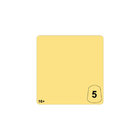 Warhammer Tone Pro Paint - Hawkshroud Yellow No. 5