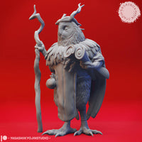 YKS Miniatures - Owlin - Druid (M)