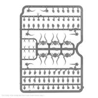 Citadel - Skulls