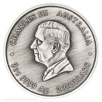 2026 Perth Mint 2oz Silver Antiqued Coloured Coin - Turtle Yaunati