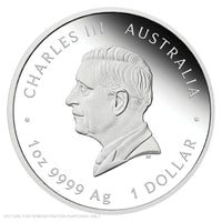 2025 Perth Mint 80th Anniversary End of WWII - Winged Victory - 1oz Silver Proof Coin