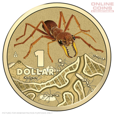 2014 Royal Australian Mint - Bright Bugs - Red Bull Ant - Uncirculated $1 Carded Coin (Mark on Coin)