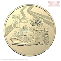 2023 $1 - Big Things - The Giant Murray Cod - Loose in 2x2