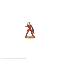 Warhammer 40,000 - Aeldari Guardians