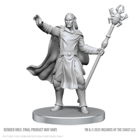 D&D Nolzur's Marvelous Miniatures - Drow Mage & Yochlo