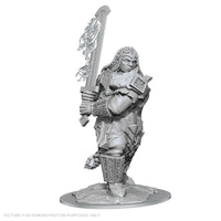 D&D Nolzurs Marvelous Miniatures Fire Giant