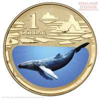 2013 $1 AlBr Uncirculated Carded Coin - Polar Animals Series - Humpback Whale