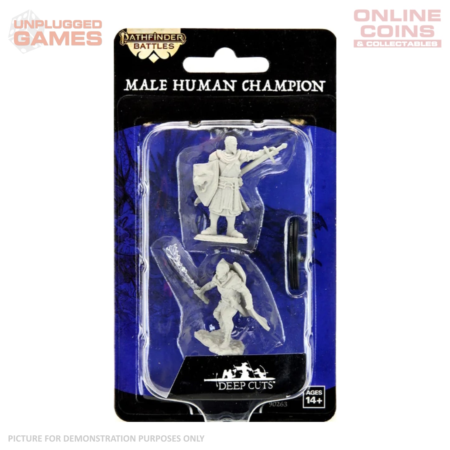 Pathfinder Deep Cuts Unpainted Miniatures - Male Human Champion