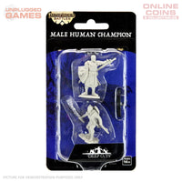 Pathfinder Deep Cuts Unpainted Miniatures - Male Human Champion