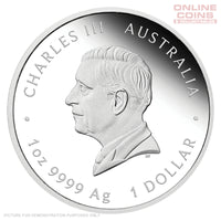 2025 Perth Mint 225th Anniversary of Proclomation Coins – PILLAR DOLLAR 1oz Silver Proof Coin