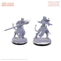 Dungeons & Dragons Nolzur's Marvelous Miniatures - Tiefling Warlocks