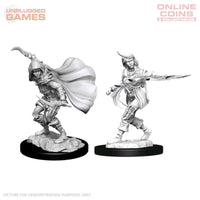 Pathfinder Deep Cuts Unpainted Miniatures - Female Human Rogue